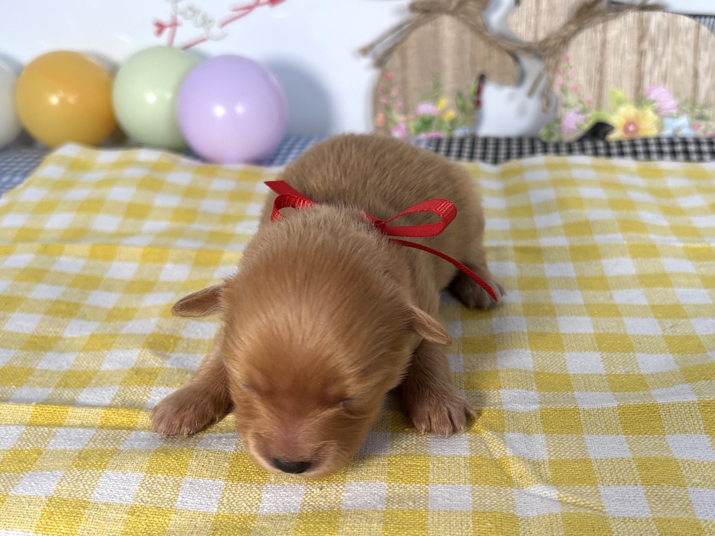 赤ちゃん写真1-1
