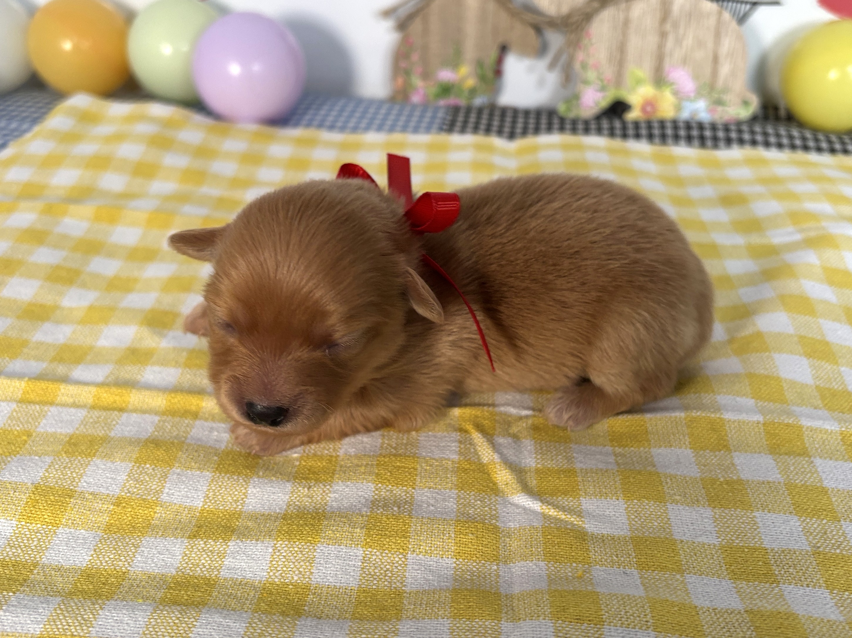 赤ちゃん写真1-2