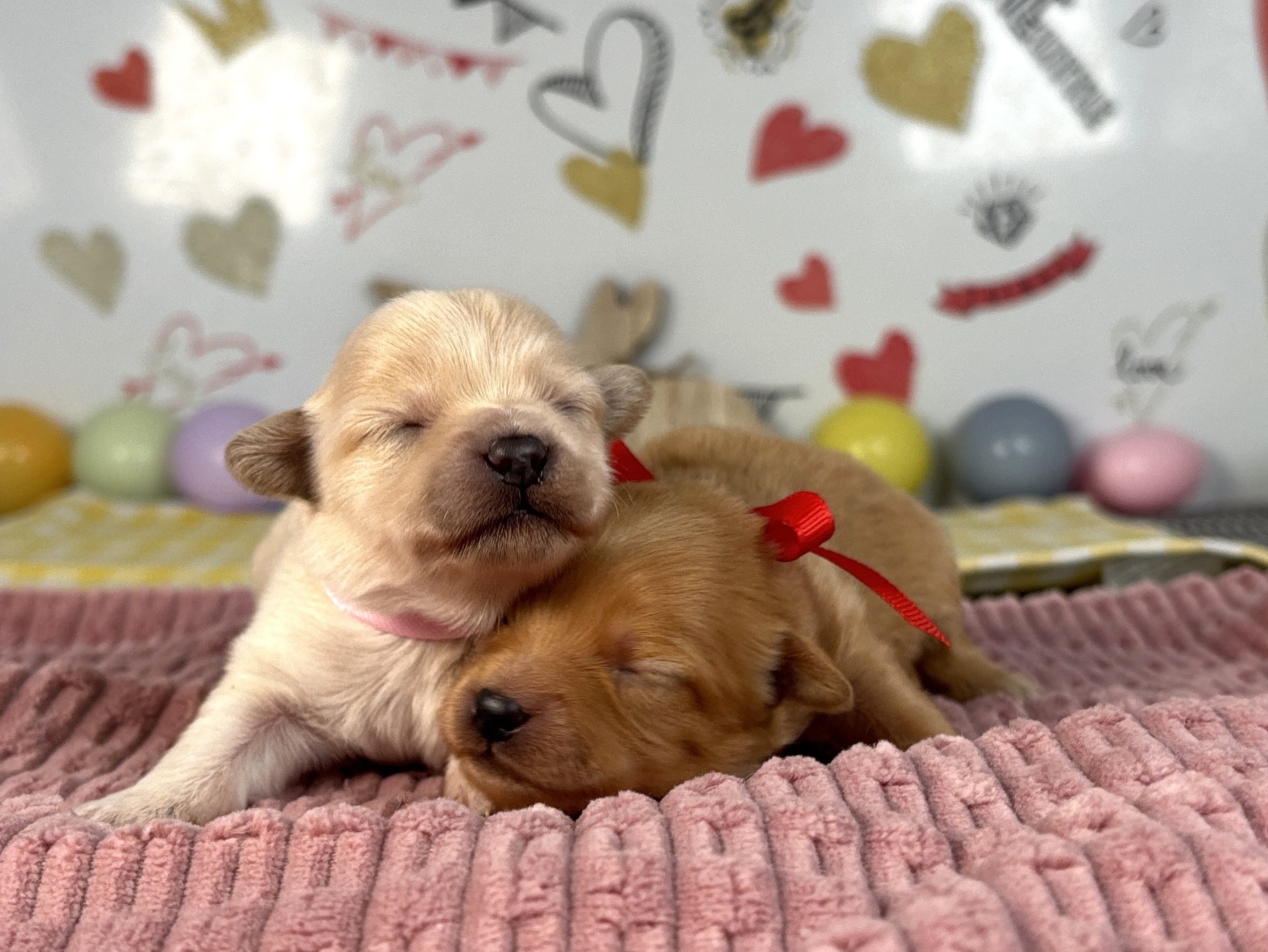 赤ちゃん写真1-3