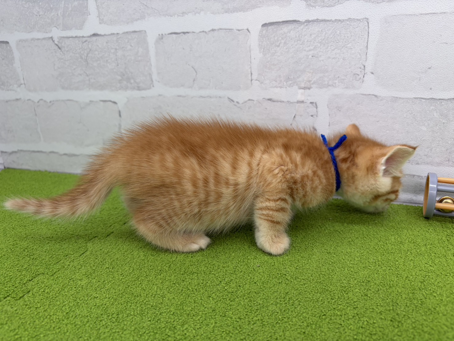赤ちゃん写真2-2