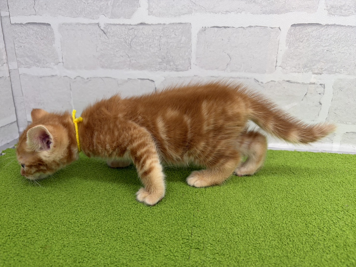 赤ちゃん写真2-2