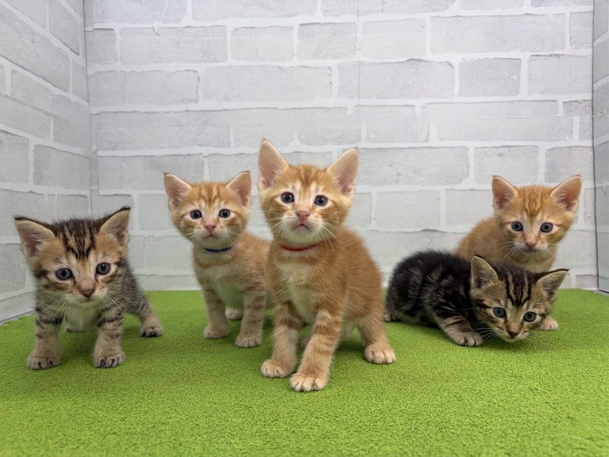 赤ちゃん写真2-3