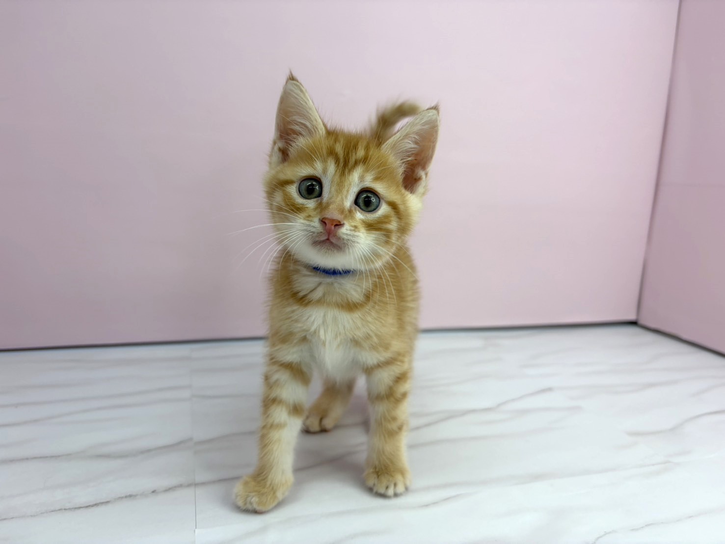 赤ちゃん写真3-1