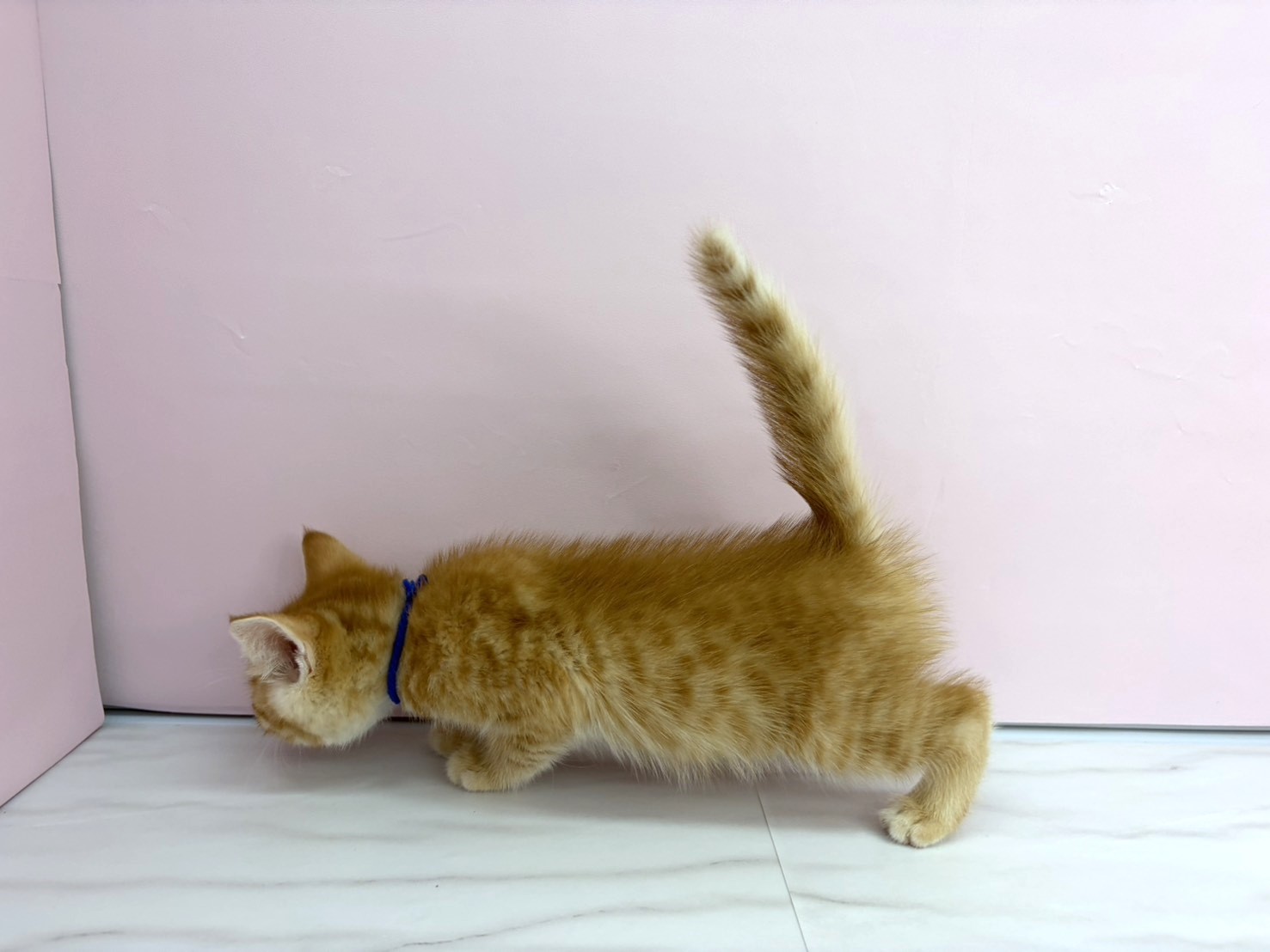赤ちゃん写真3-2