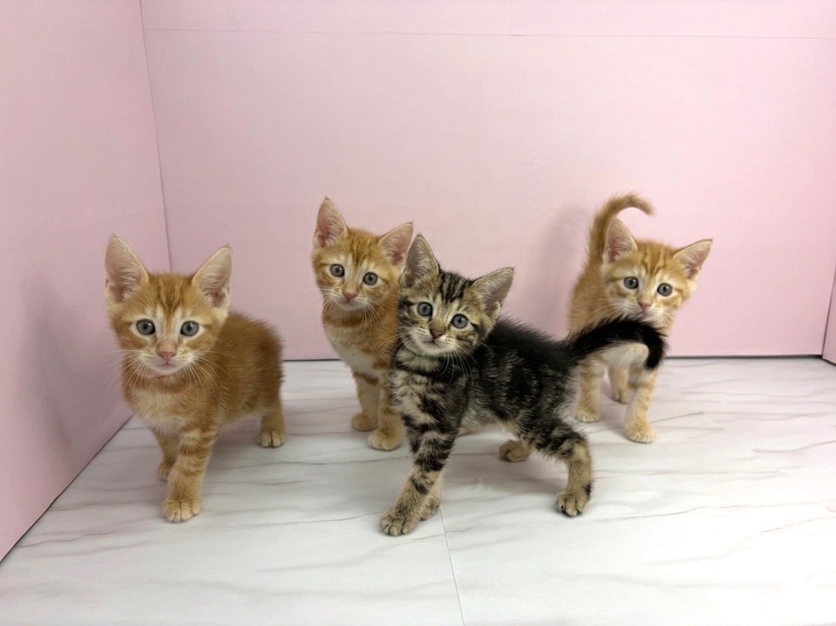 赤ちゃん写真3-3