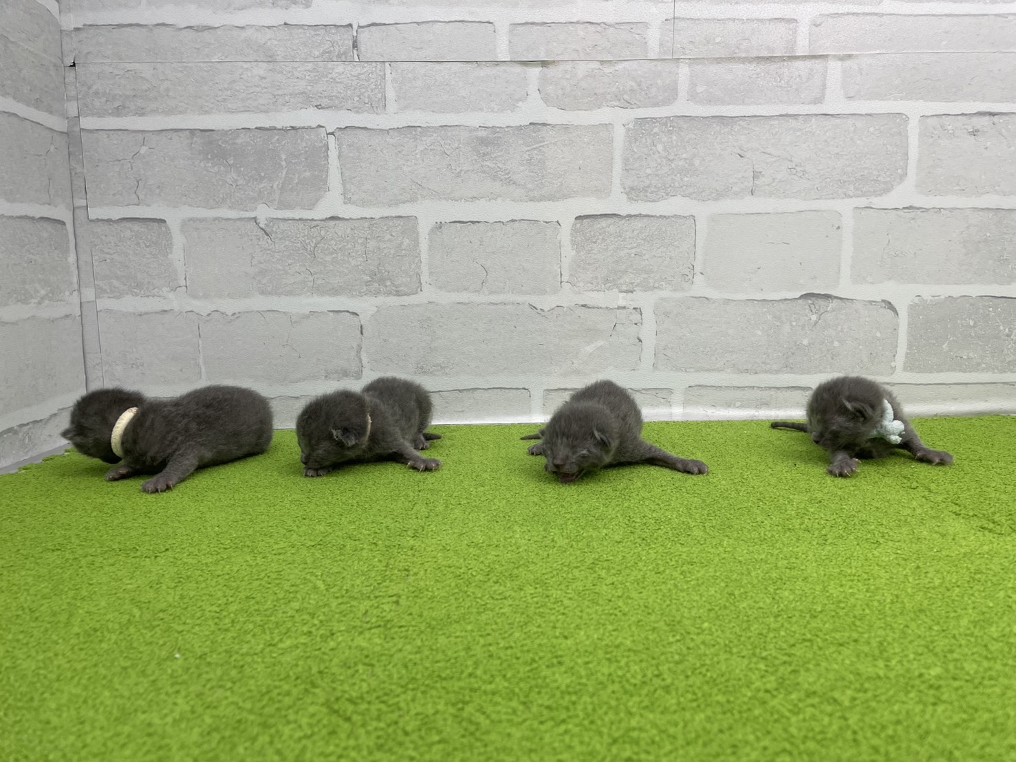 赤ちゃん写真1-3