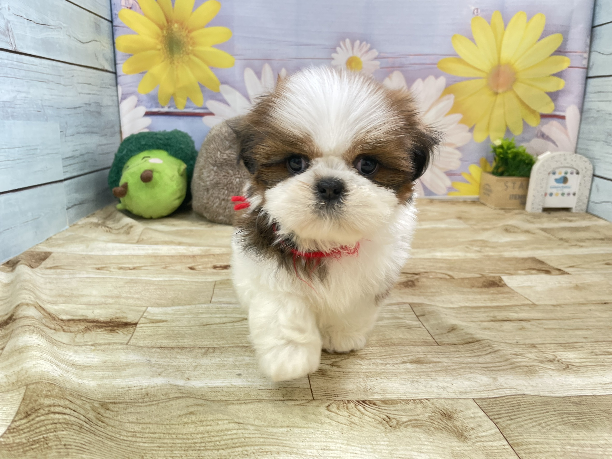赤ちゃん写真3-1