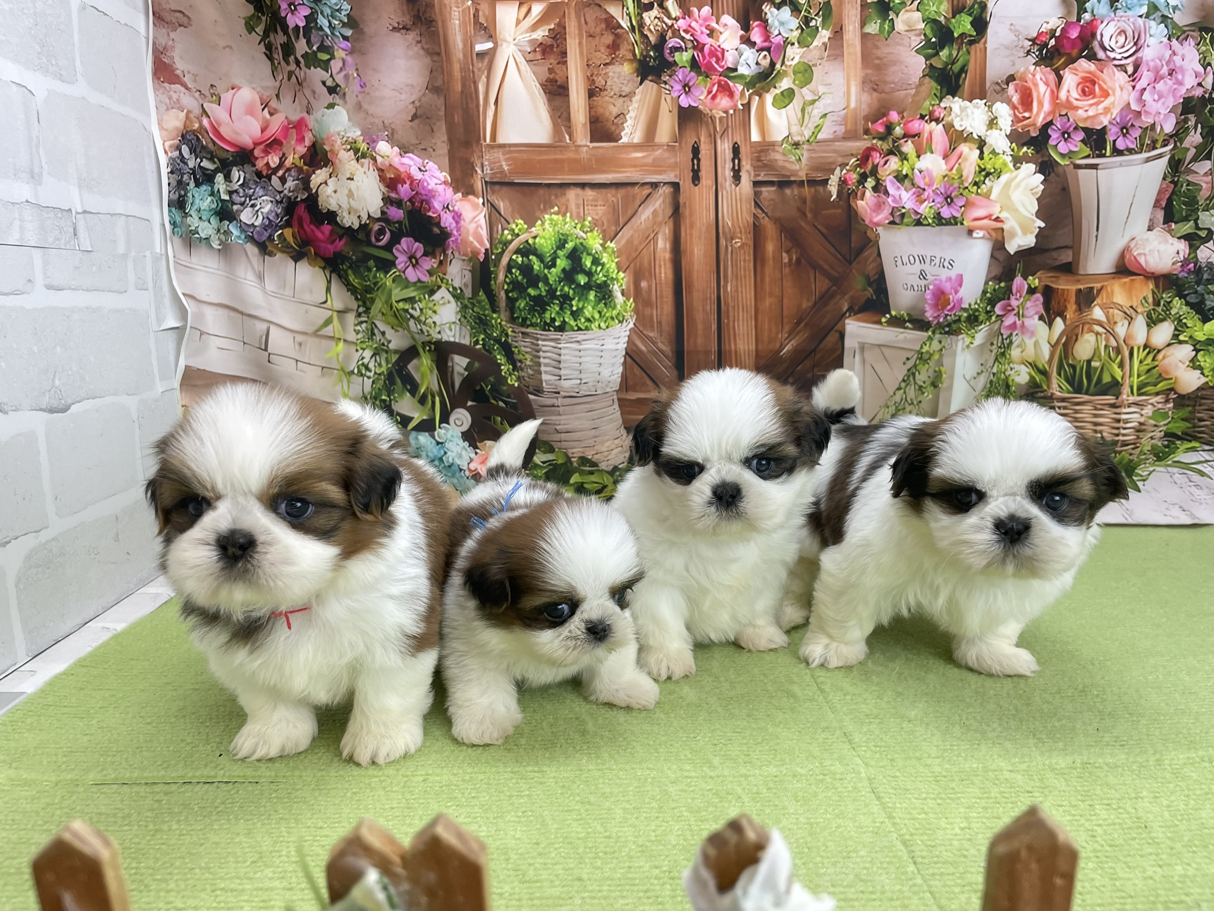 赤ちゃん写真3-3
