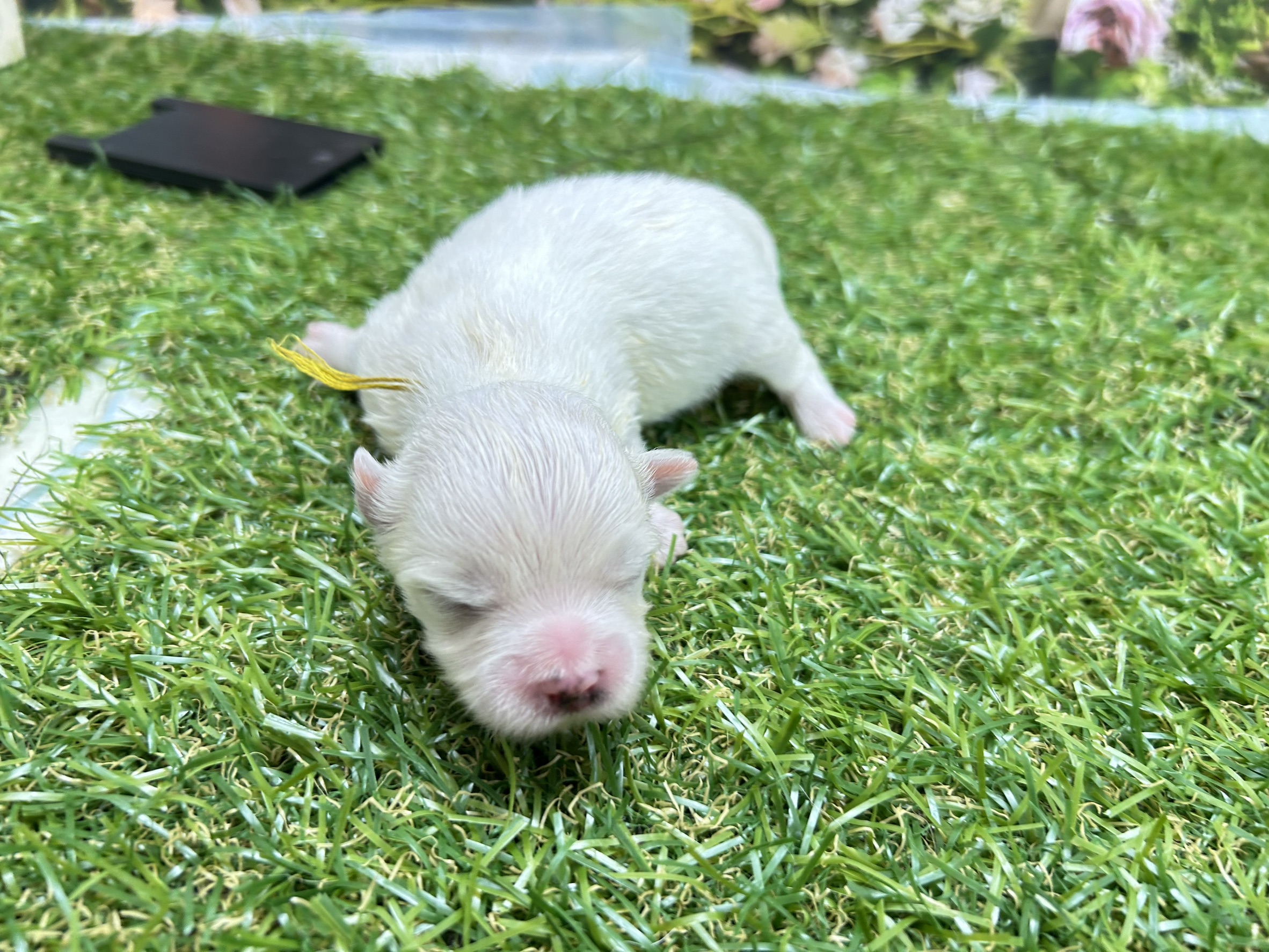 赤ちゃん写真1-2