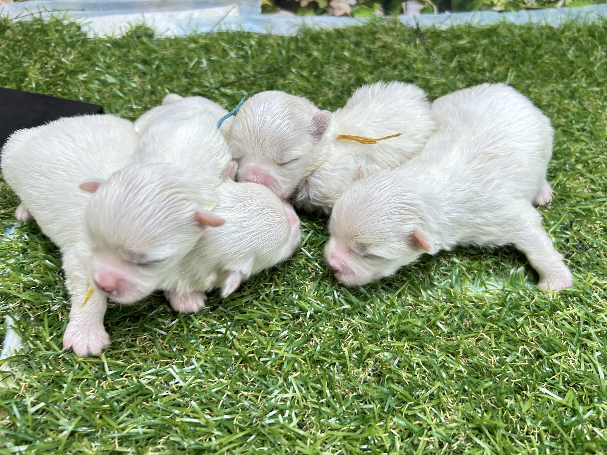 赤ちゃん写真1-3