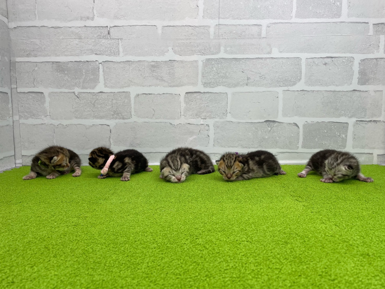 赤ちゃん写真1-3
