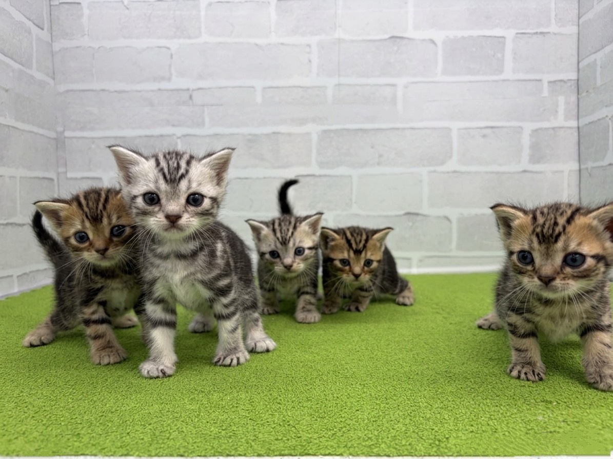 赤ちゃん写真2-3