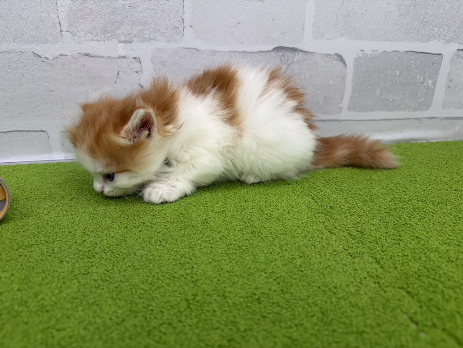 赤ちゃん写真2-2