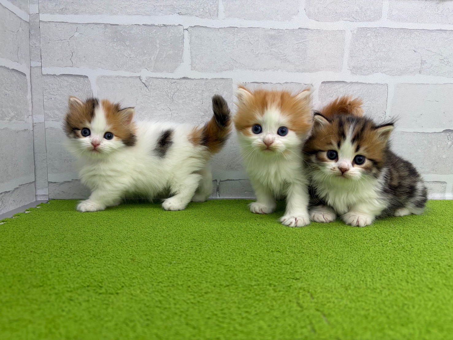 赤ちゃん写真2-3