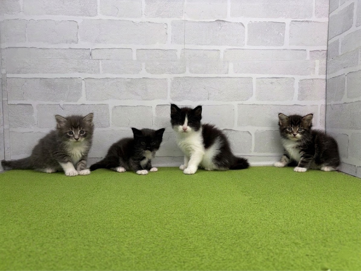 赤ちゃん写真2-3