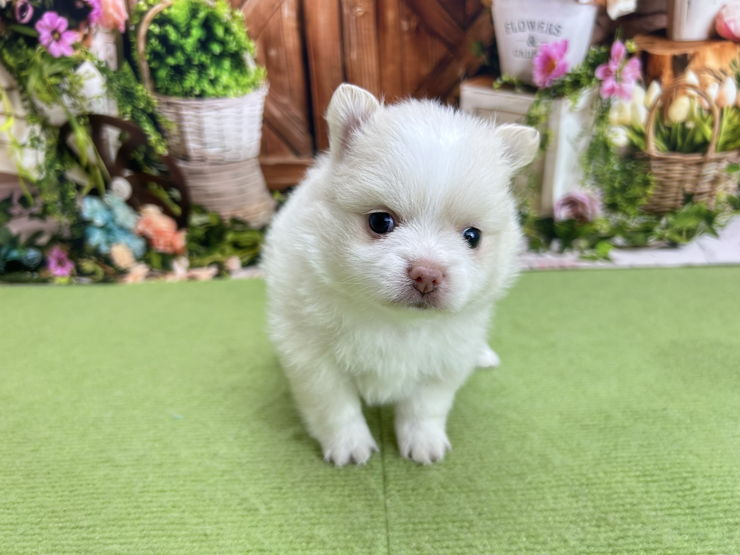 赤ちゃん写真2-1