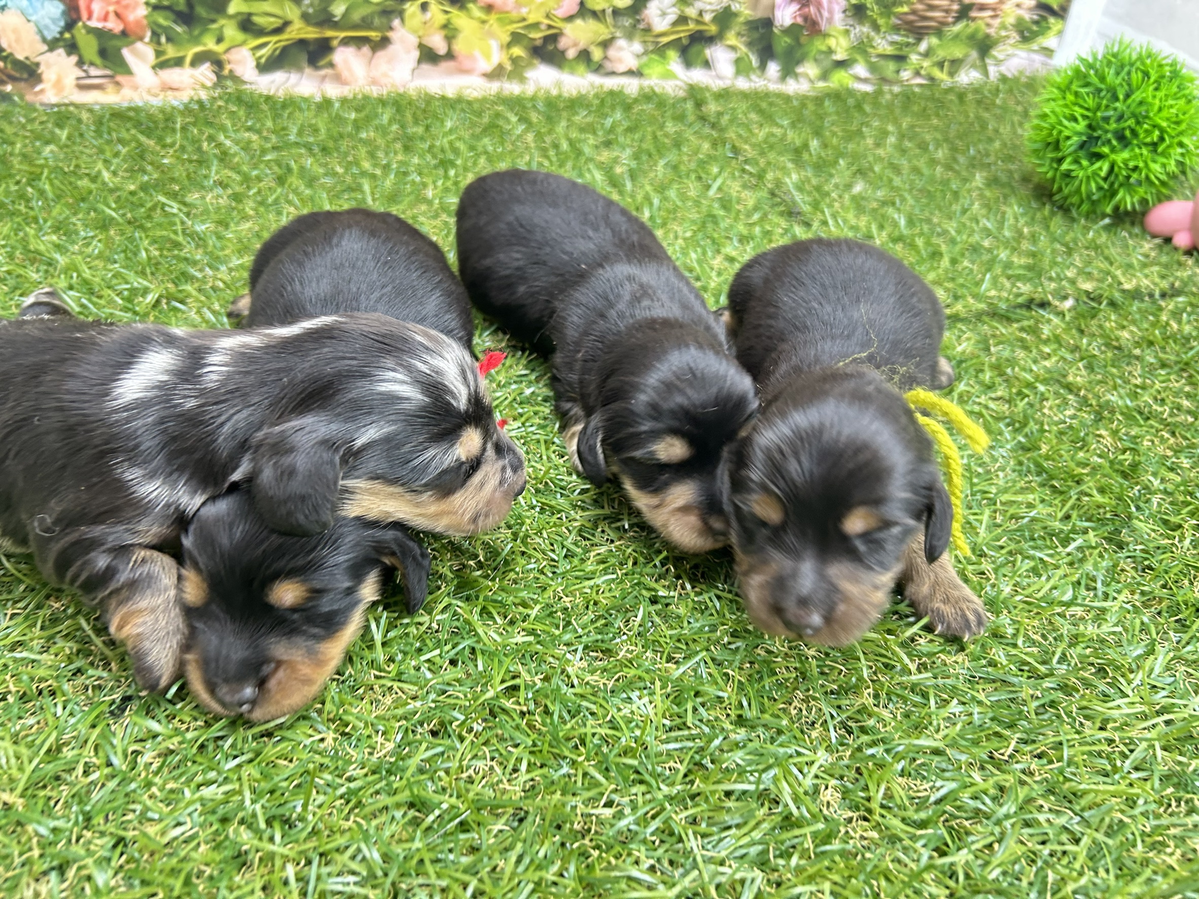 赤ちゃん写真1-3