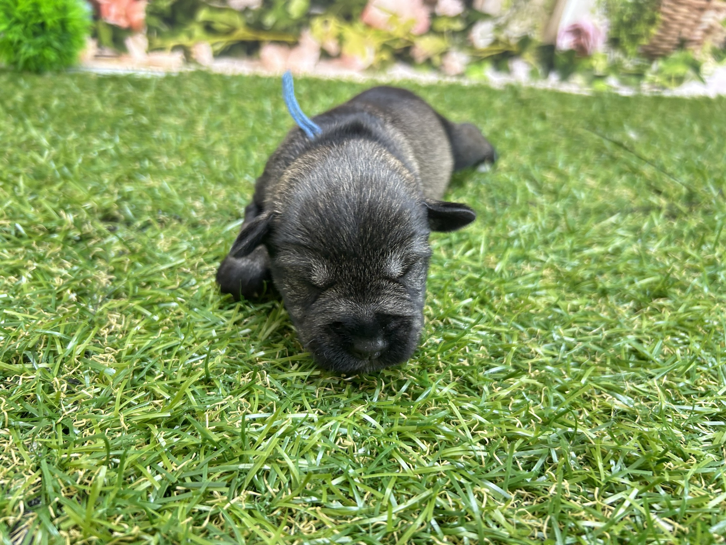 赤ちゃん写真1-1