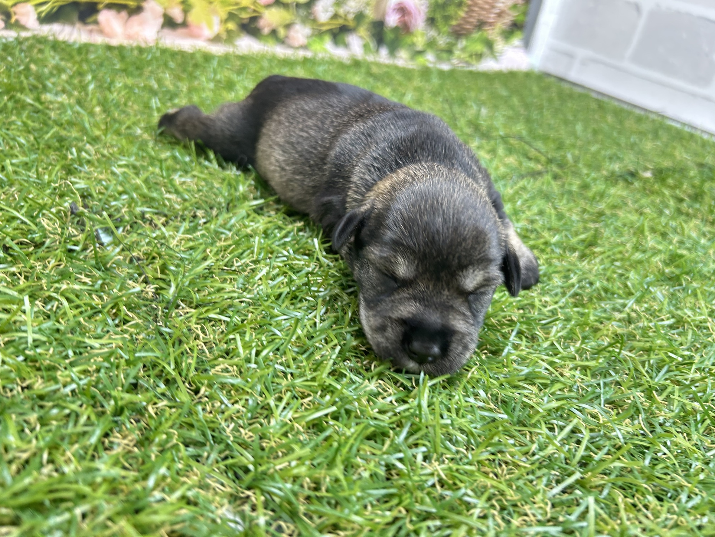 赤ちゃん写真1-2