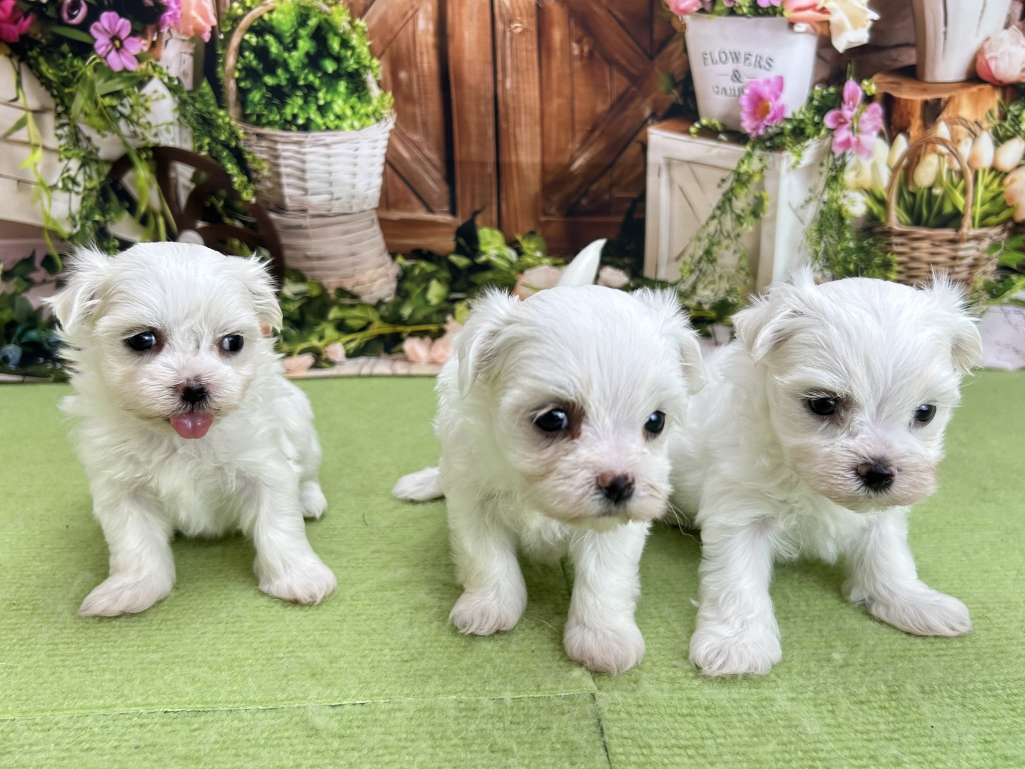 赤ちゃん写真2-3