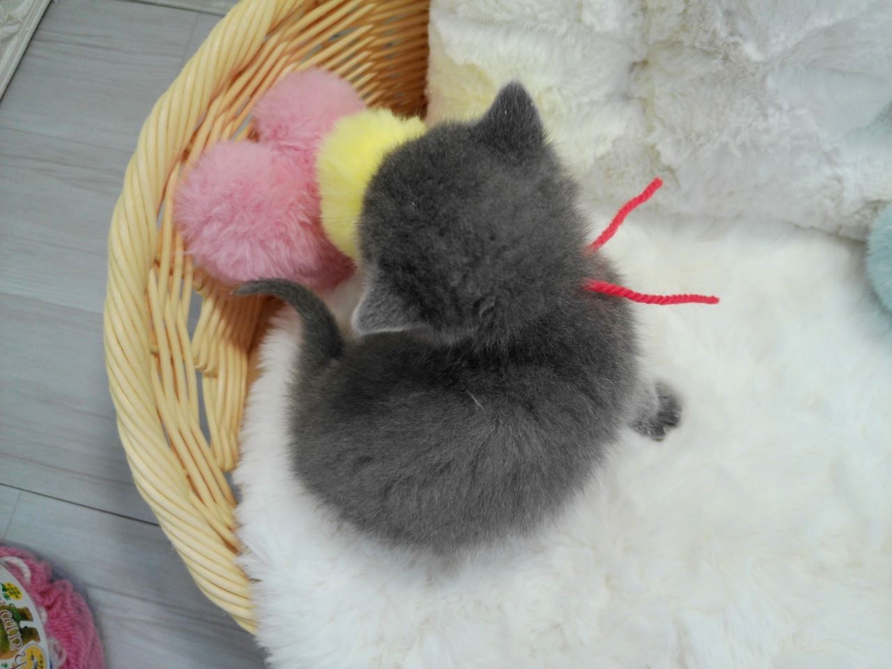 赤ちゃん写真1-3
