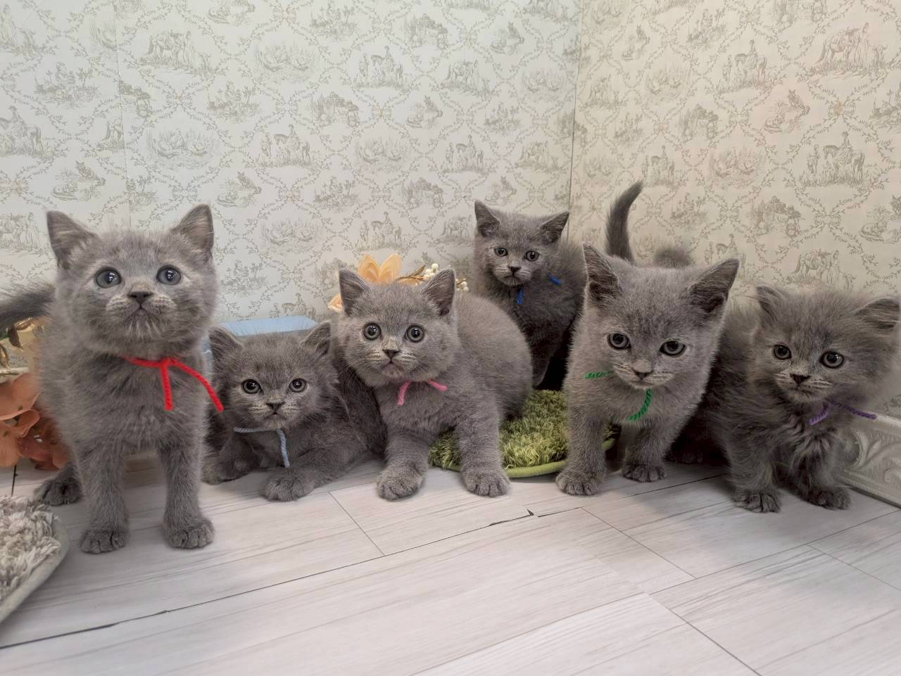 赤ちゃん写真2-3