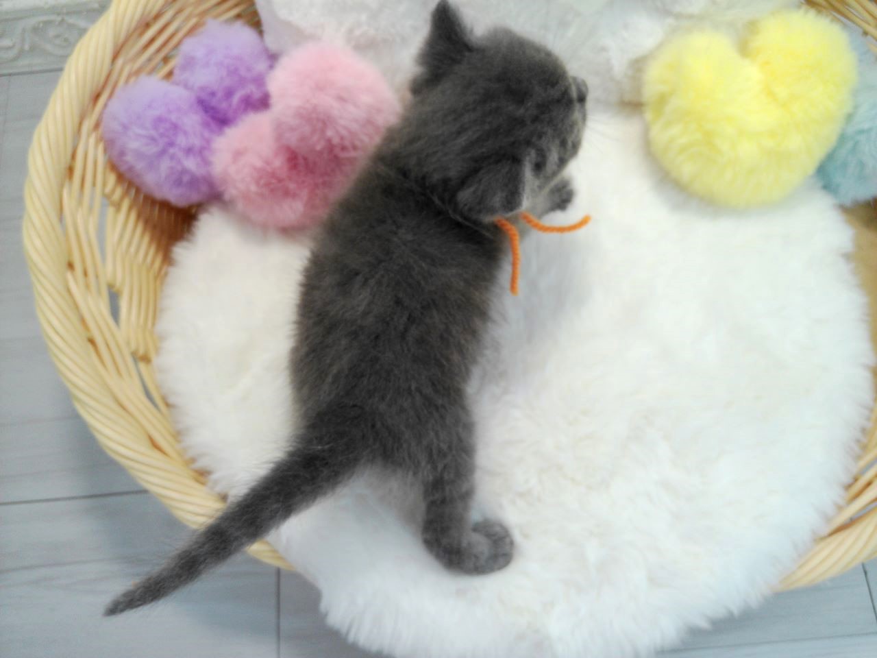 赤ちゃん写真1-3