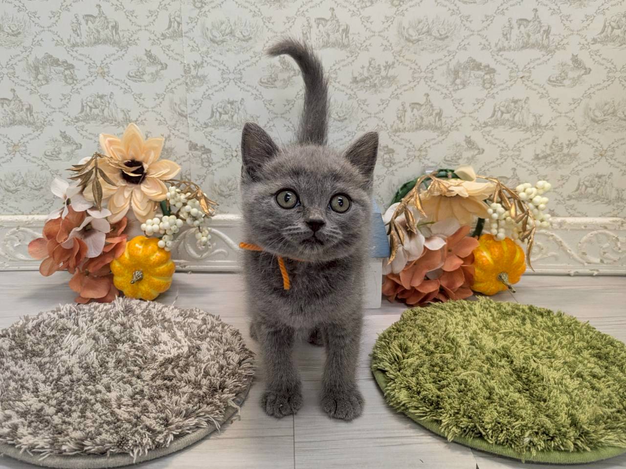 赤ちゃん写真2-1