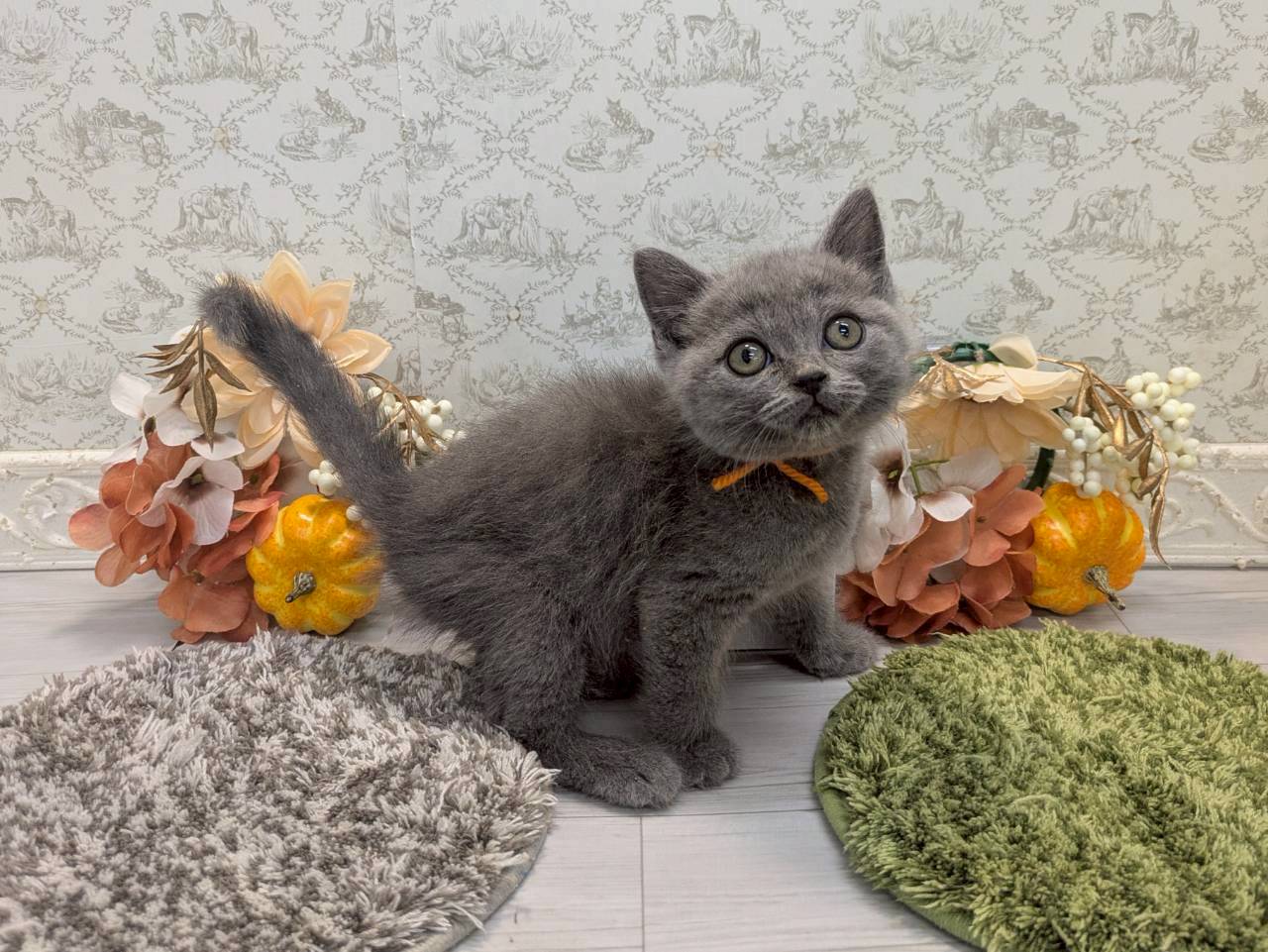 赤ちゃん写真2-2