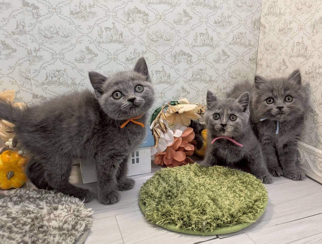 赤ちゃん写真2-3