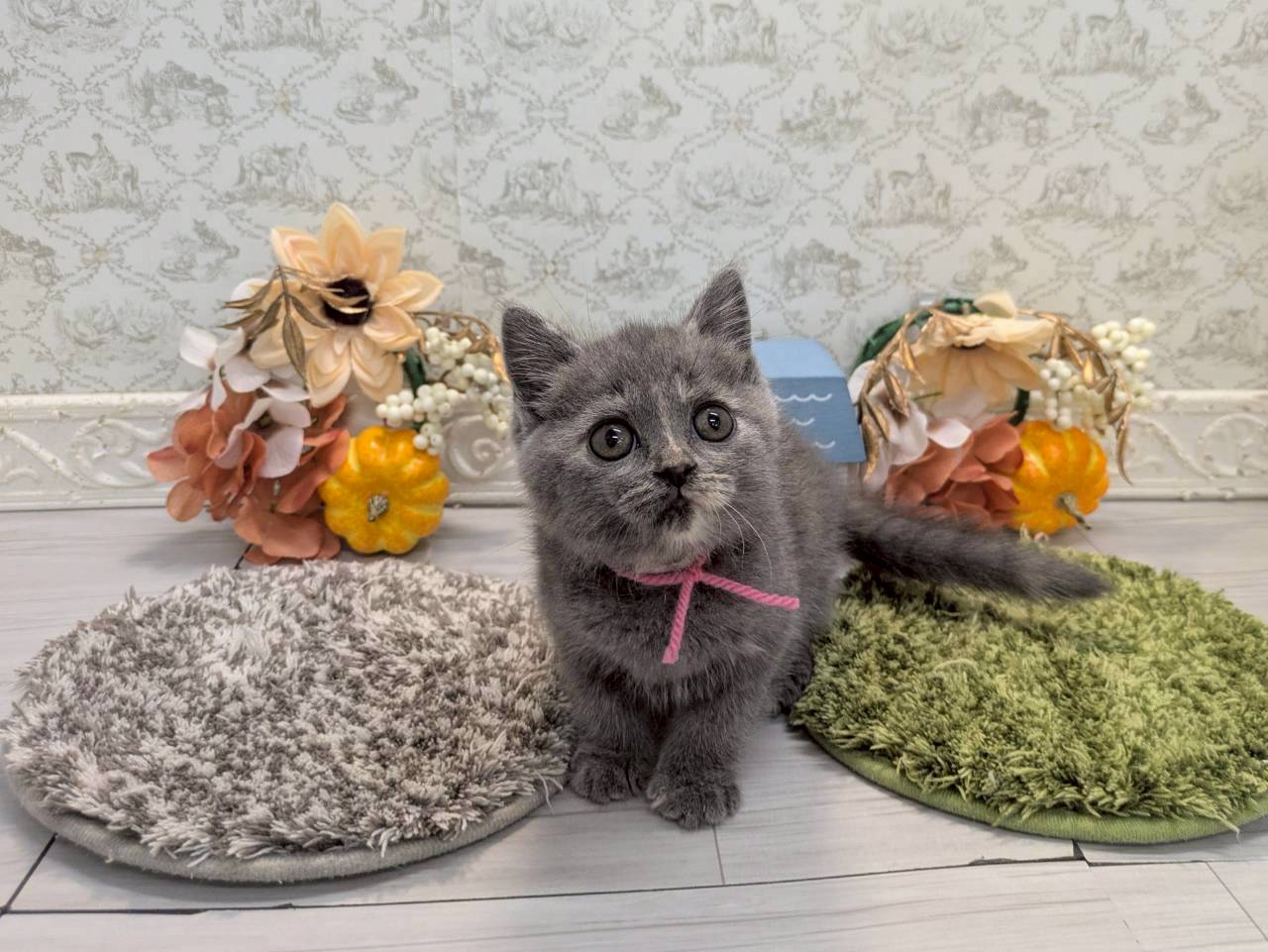 赤ちゃん写真2-1