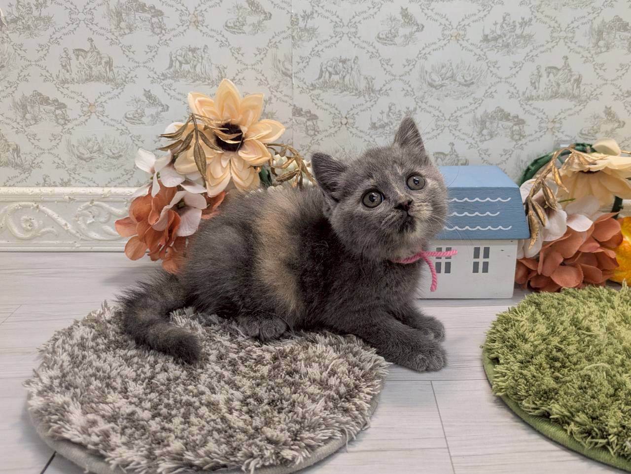 赤ちゃん写真2-2