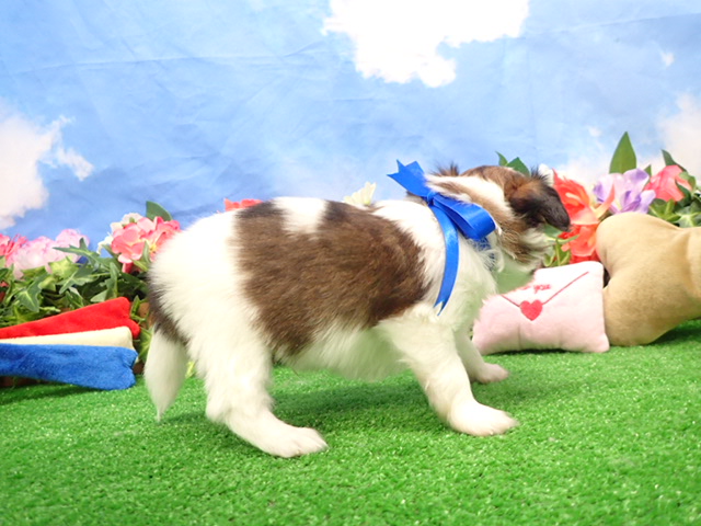 赤ちゃん写真2-2