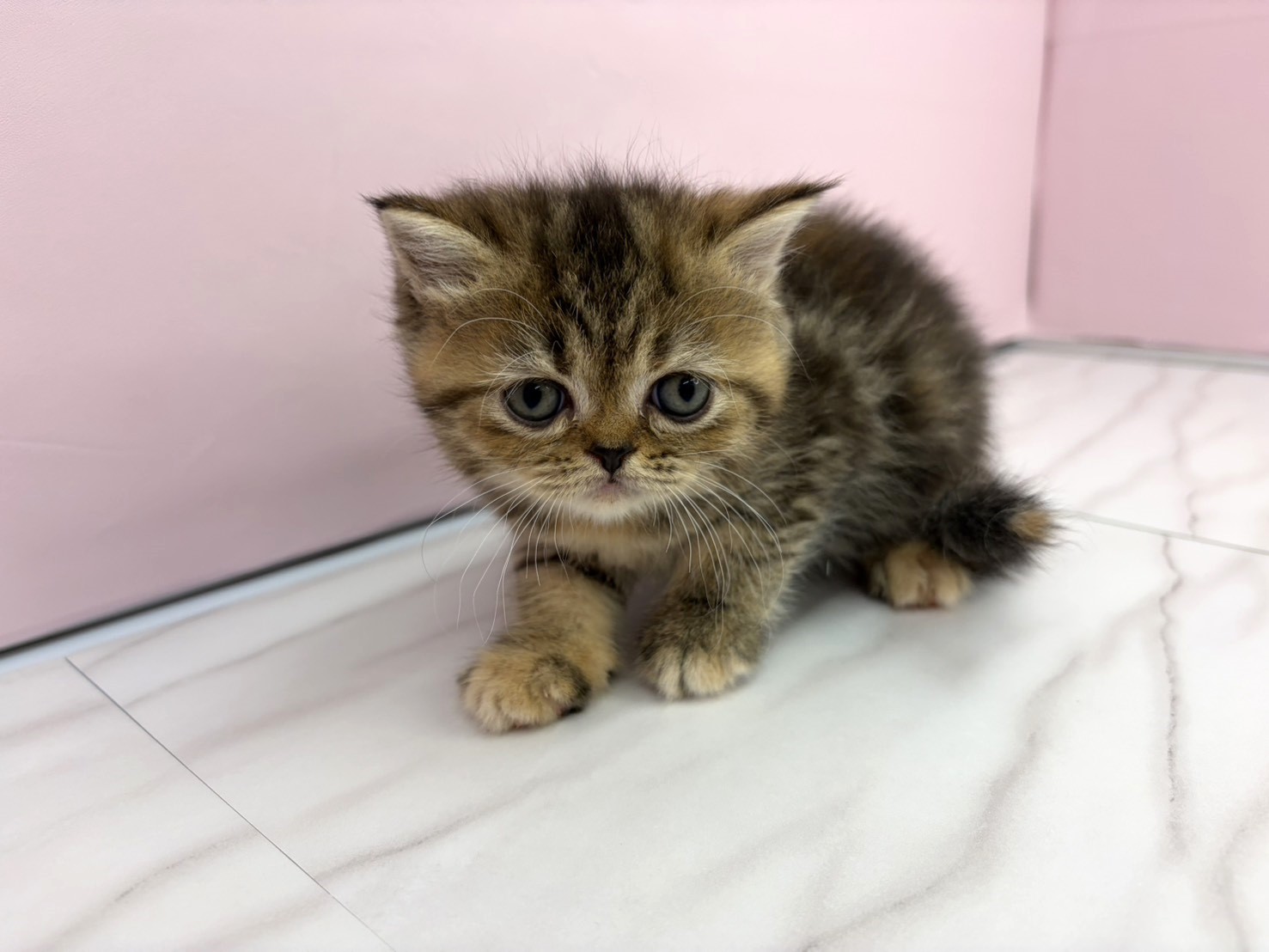 赤ちゃん写真2-1