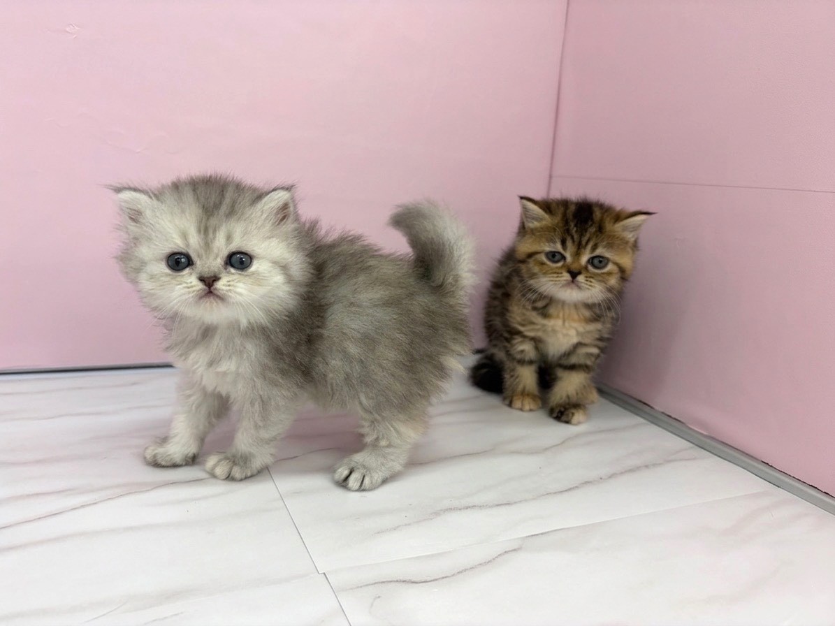 赤ちゃん写真2-3