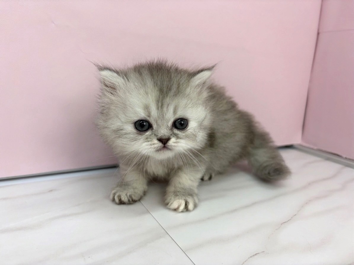 赤ちゃん写真2-1