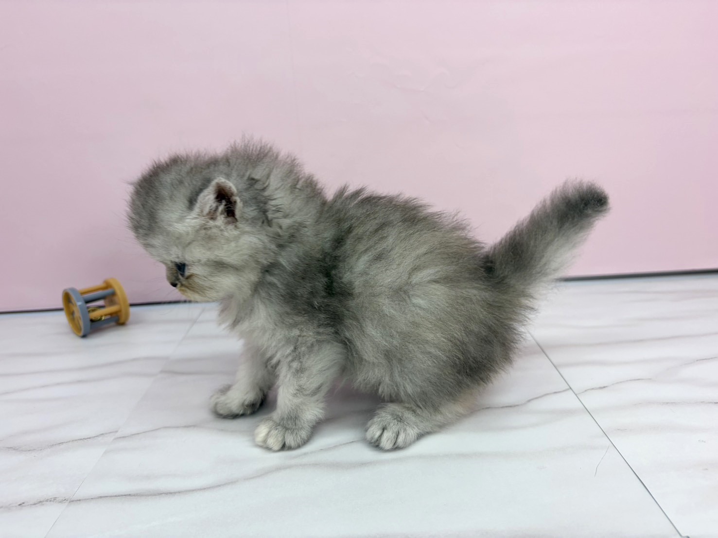 赤ちゃん写真2-2