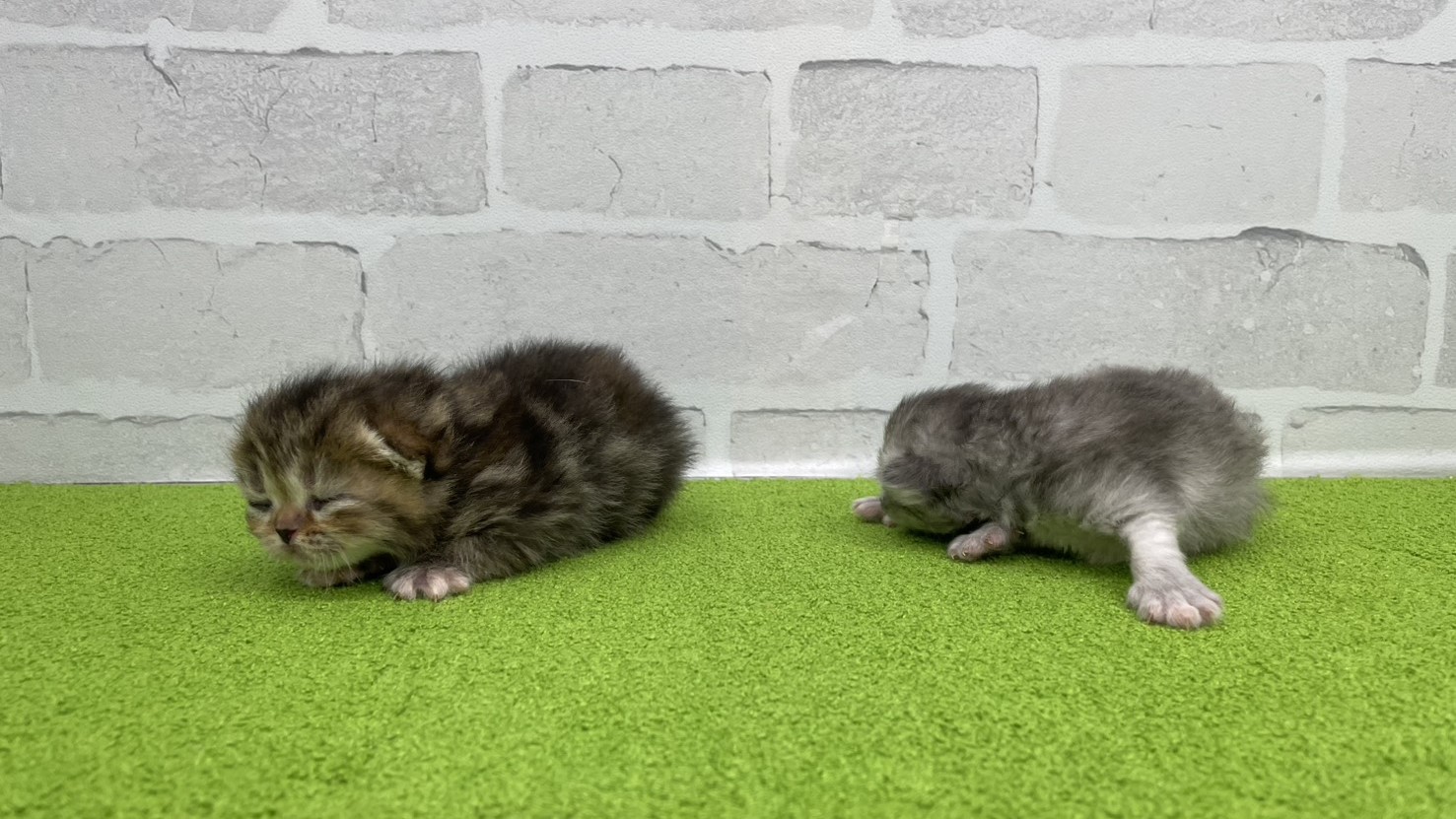 赤ちゃん写真1-3