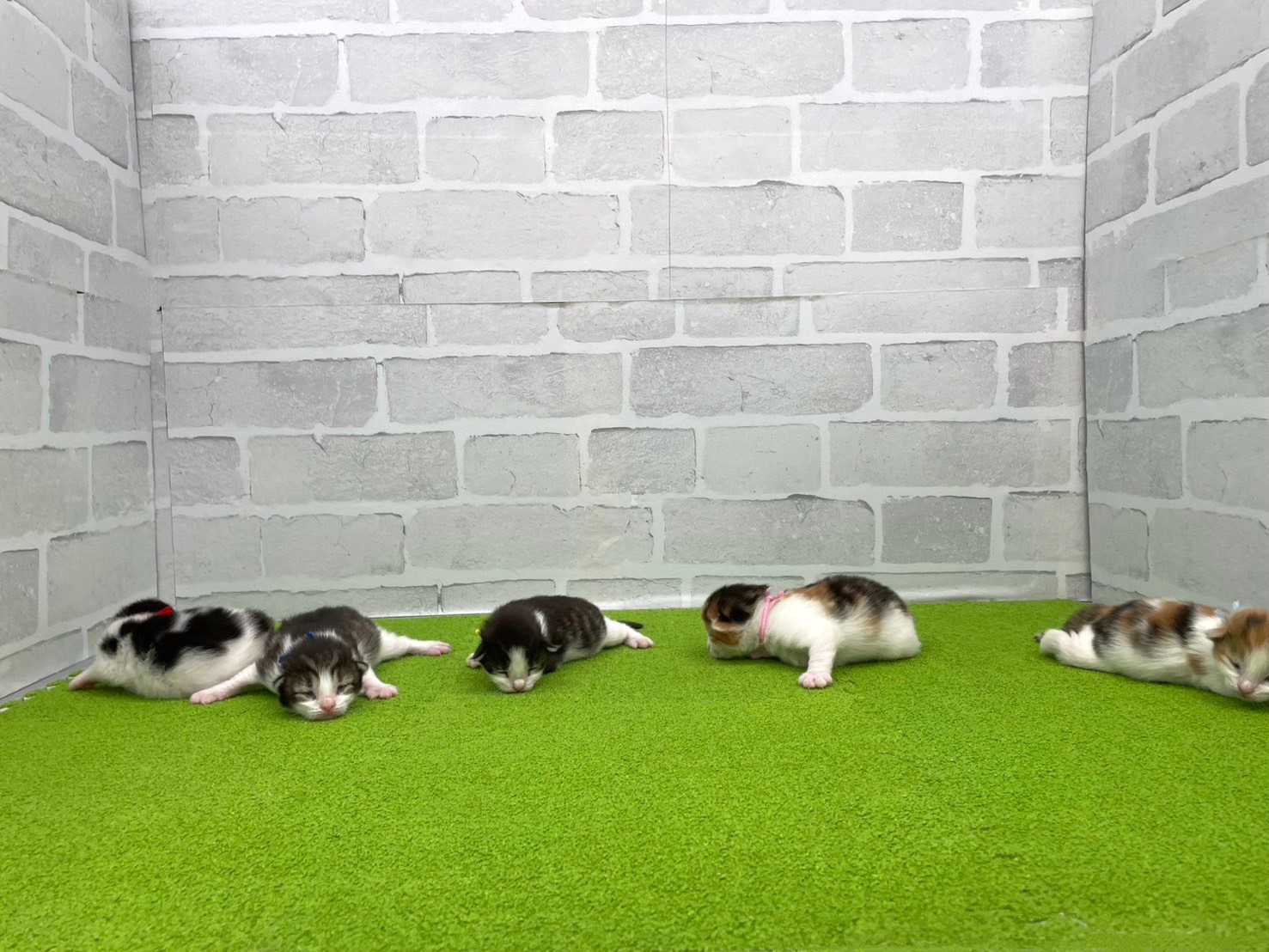 赤ちゃん写真1-3
