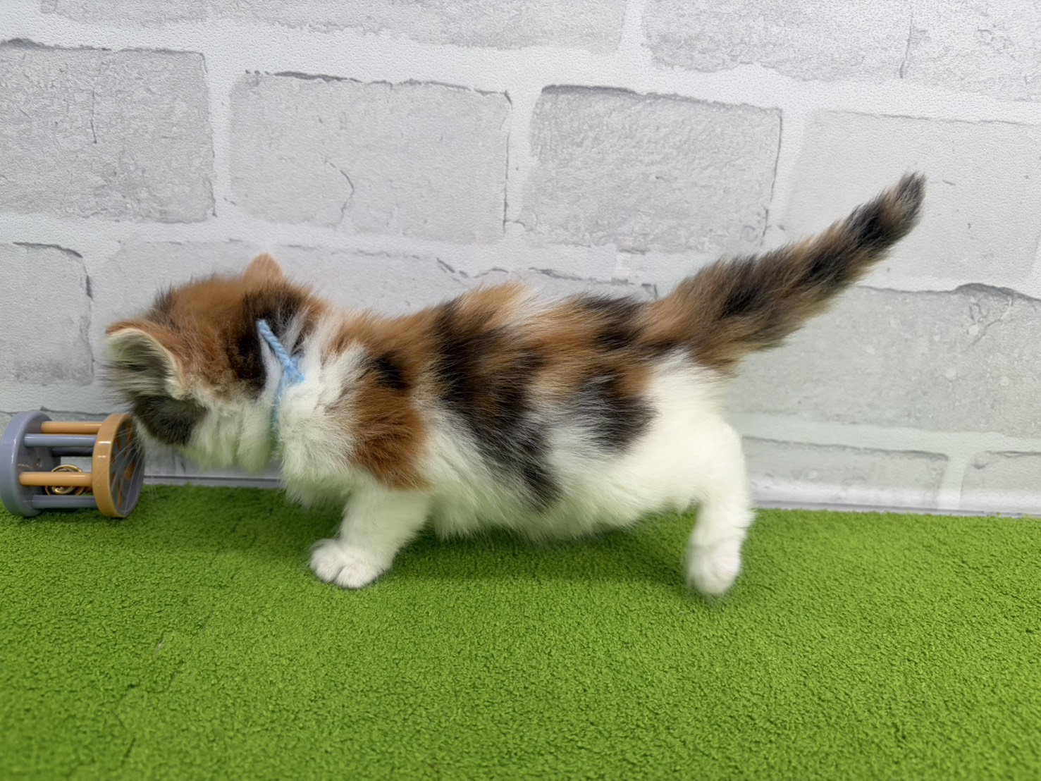 赤ちゃん写真2-2