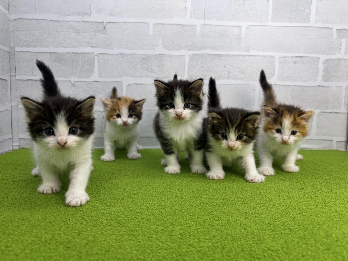 赤ちゃん写真2-3