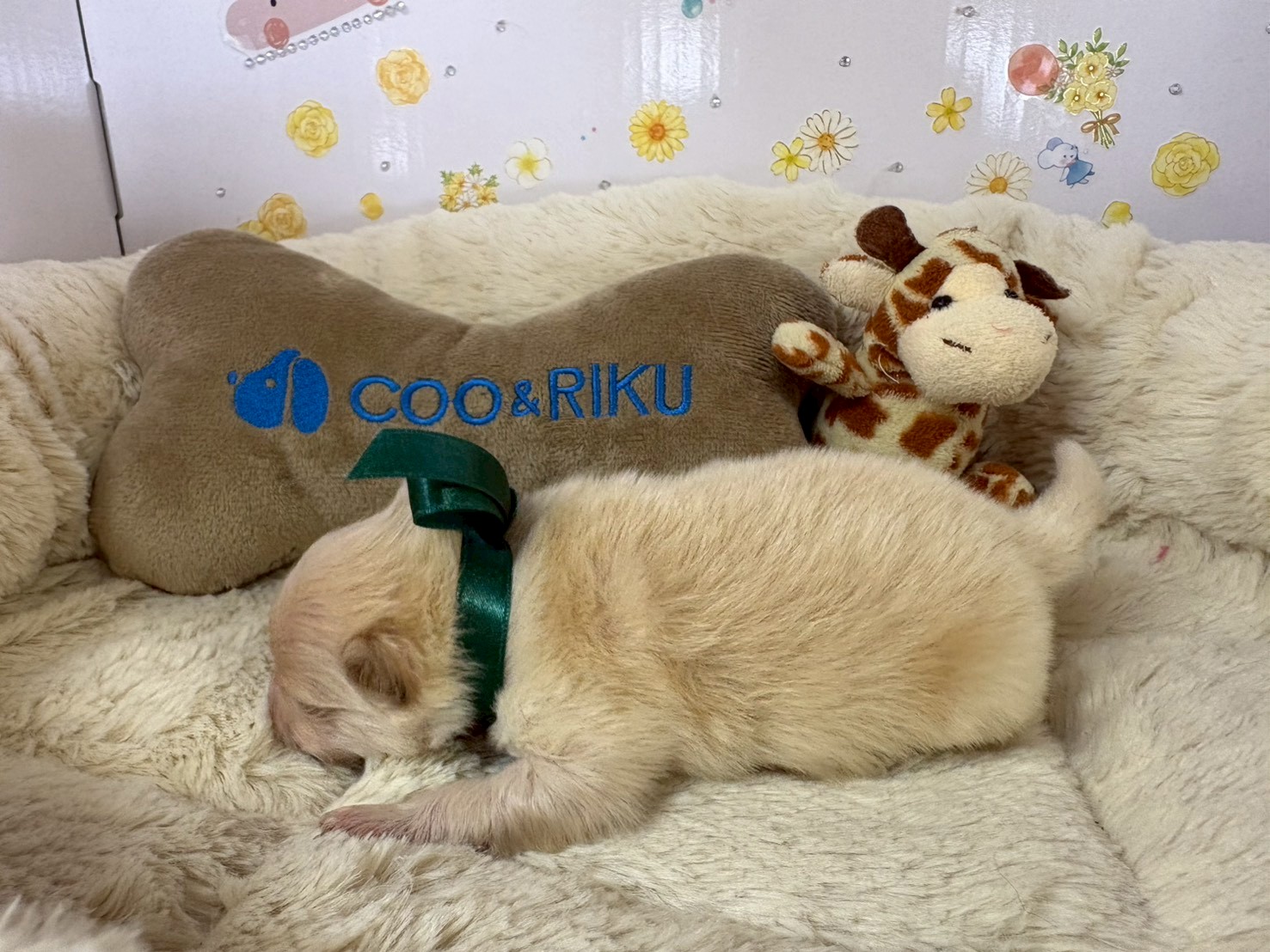 赤ちゃん写真1-2