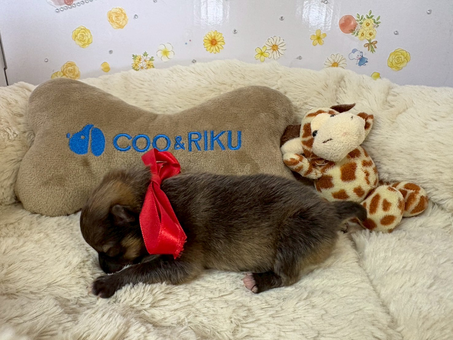 赤ちゃん写真1-2