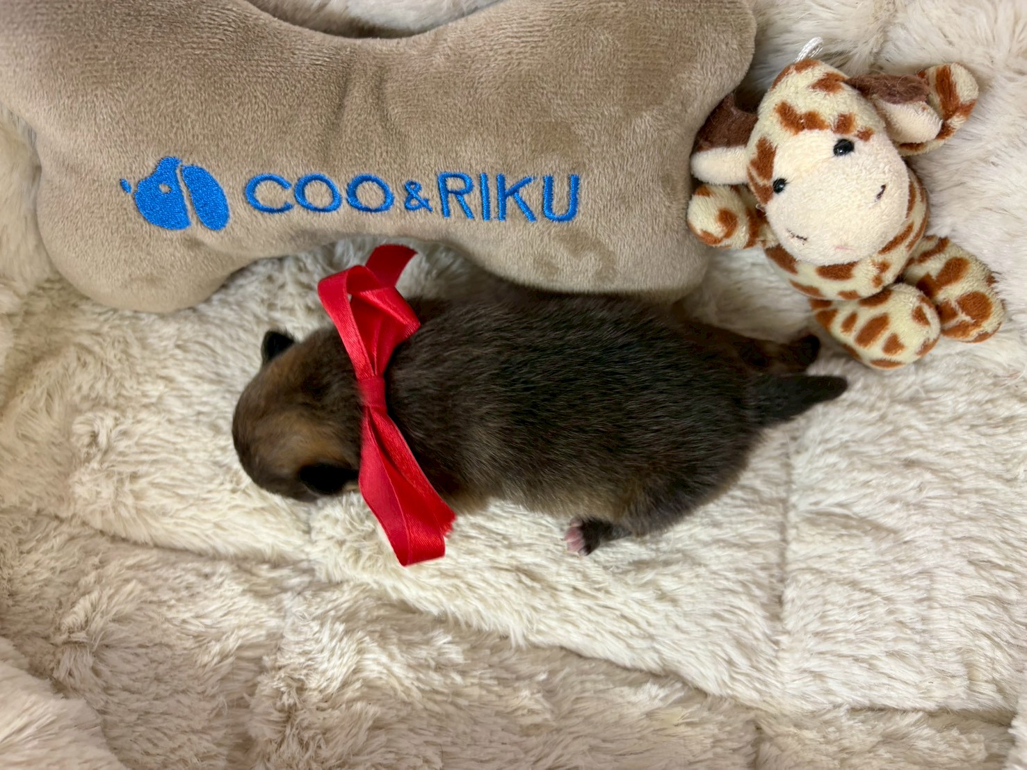 赤ちゃん写真1-3