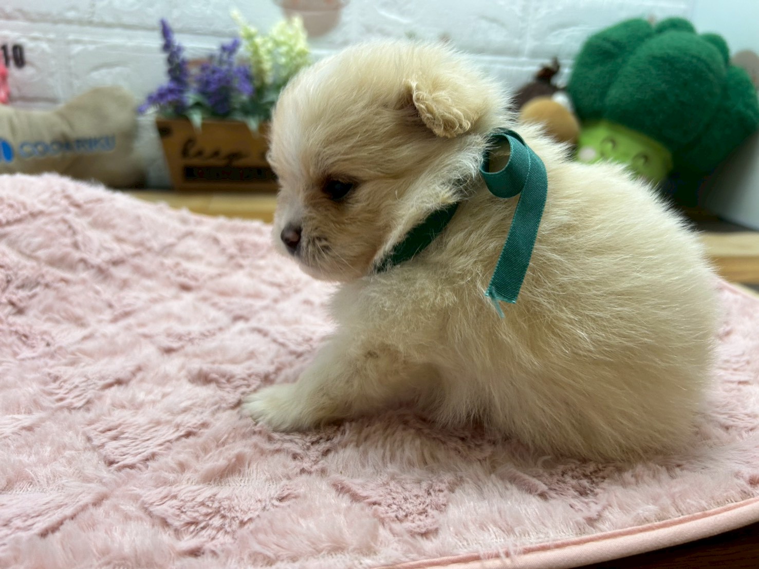 赤ちゃん写真2-2