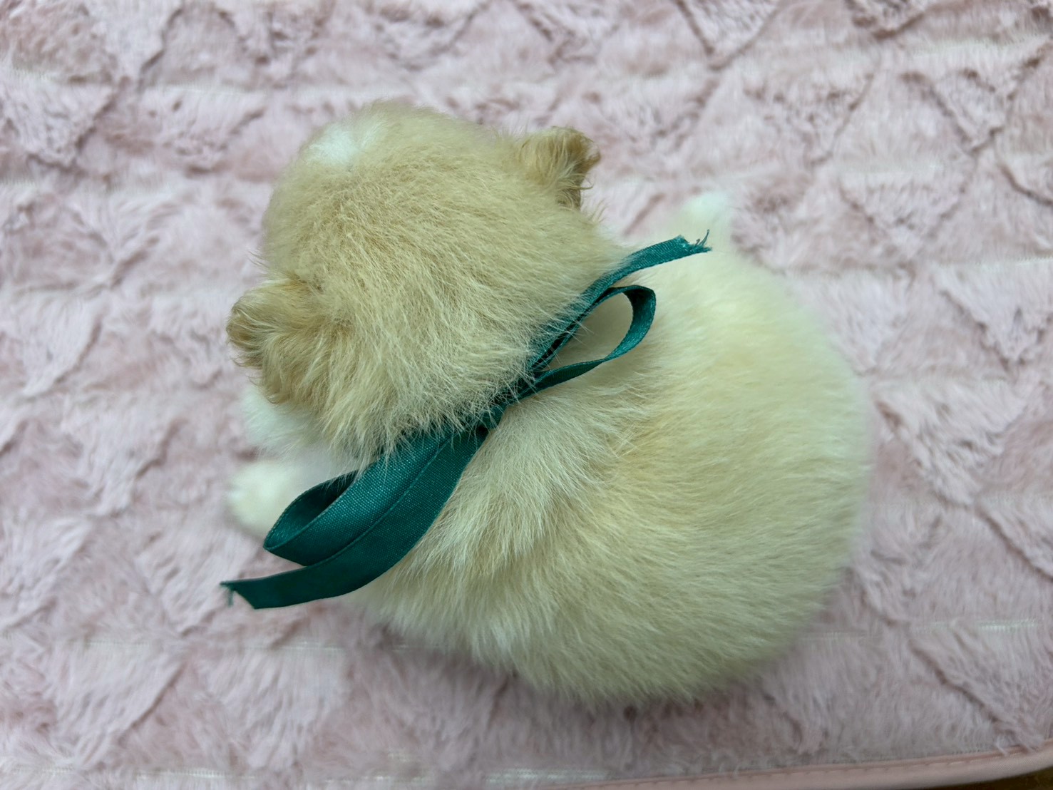 赤ちゃん写真2-3