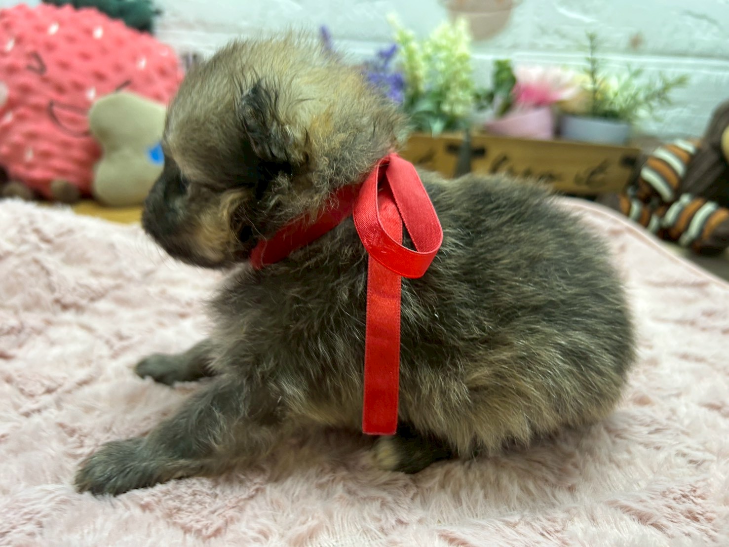 赤ちゃん写真2-2