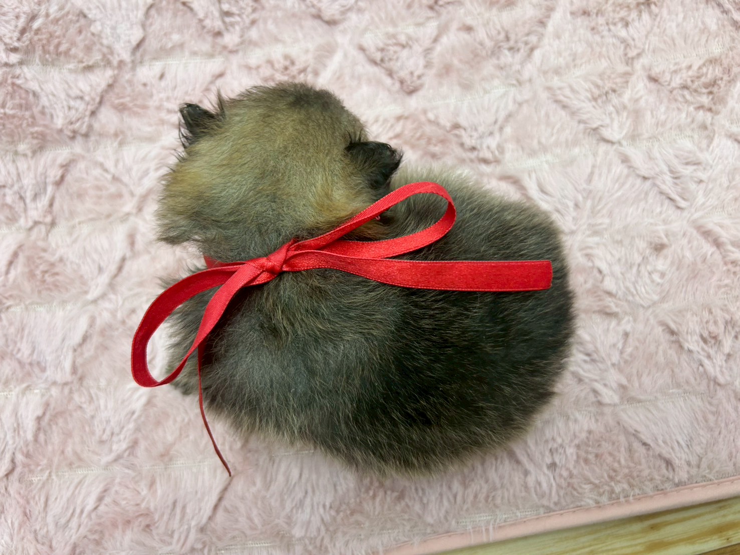 赤ちゃん写真2-3