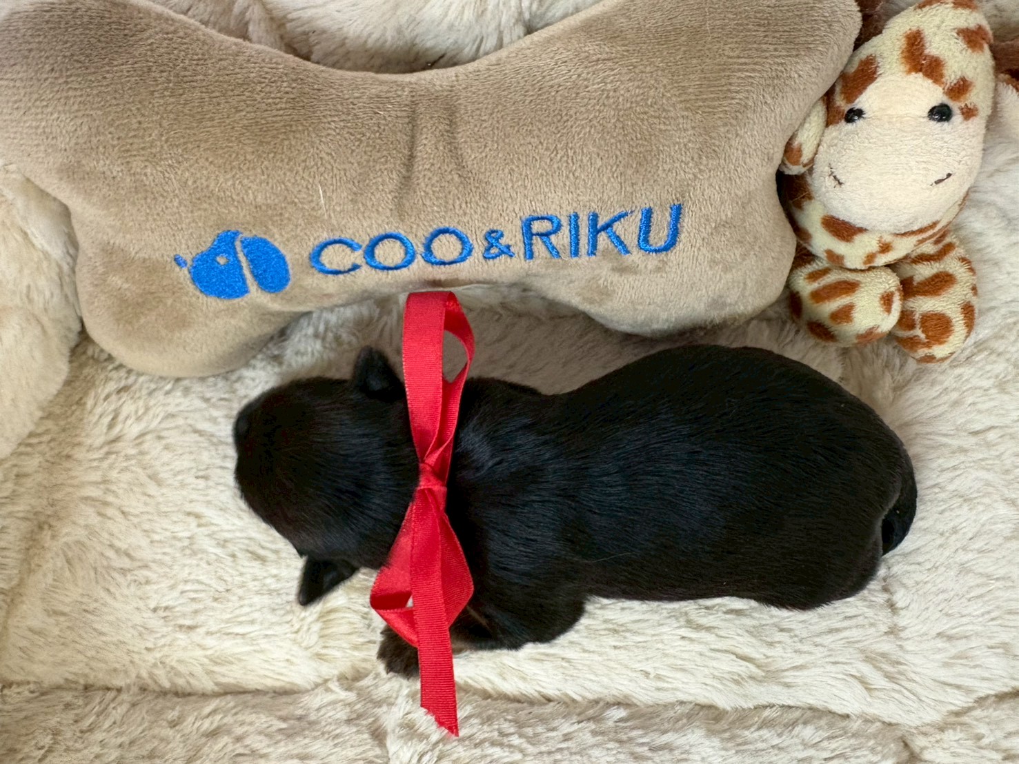 赤ちゃん写真1-3