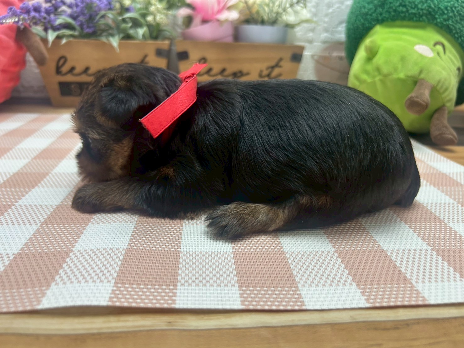 赤ちゃん写真2-2